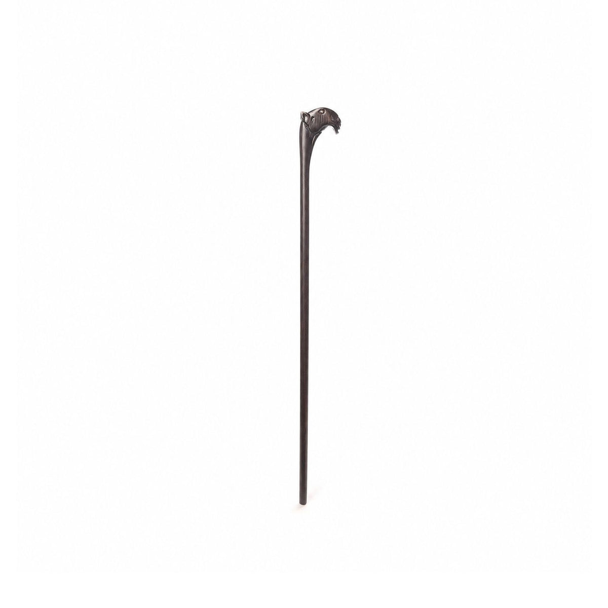 الابل (للاطفال)