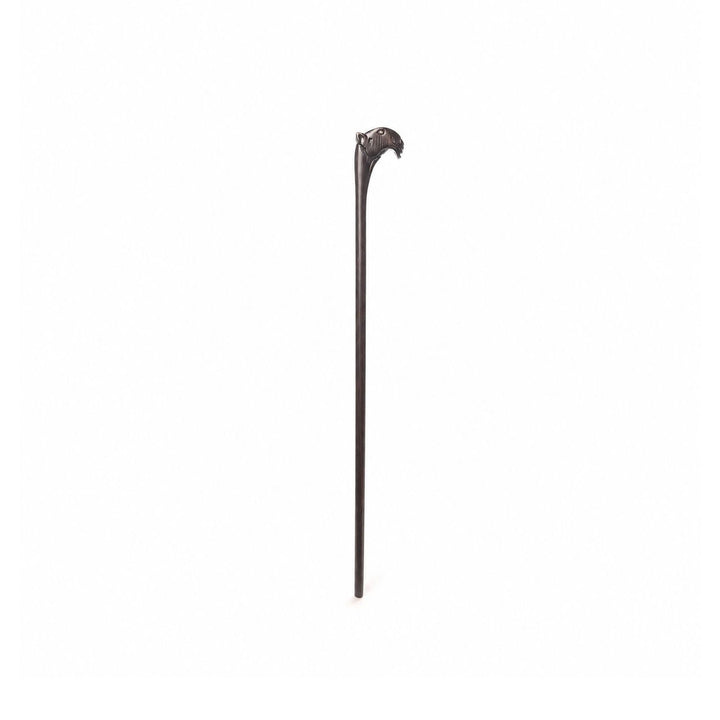 الابل (للاطفال)